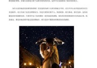 异地恋关系变淡如何挽回？男女之间的情感修复策略是什么？