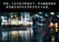 告别无果之恋，情感不挽回（放下情感）