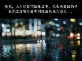 告别无果之恋，情感不挽回（放下情感）