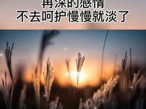 分手与变淡的原因——同婚外情关系的困境（探究同性恋者如何面对感情问题）