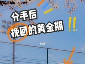 如何有效挽回女友（15个步骤助你成功挽回爱情）