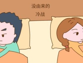 如何处理夫妻吵架问题（从沟通、情绪控制到和谐共处，教你处理夫妻吵架问题）