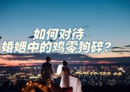 婚姻（探索婚姻的真谛——从传统到现代的演变）