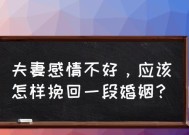 以朋友的身份挽回爱情（如何在朋友间维系彼此之间的爱情）