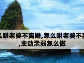 如何挽回老婆的心？——情感危机中的夫妻关系调适（探索情感沟通的艺术，重建美好的家庭关系）