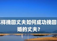 当挽回前夫成为一种勇气——面对丢脸的真实感受（情感的坚持与自我价值的探索）