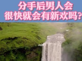 从分手到复合（分析分手原因、处理新欢关系、重建信任）