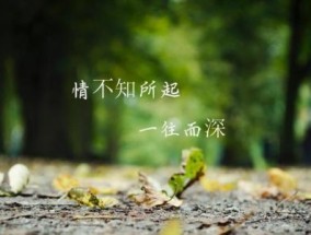 如何以分手想挽回的昵称（制定恰当的昵称可以让你赢得她的心）