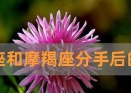 如何挽回金牛座的男人？挽回金牛座男人的正确方法是什么？