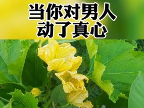 分手后多久就无法挽回（探究时间对感情的影响）