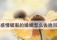 情感破裂如何挽回——15个有效攻略全揭秘（从心理学到行动计划）