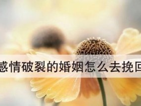 情感破裂如何挽回——15个有效攻略全揭秘（从心理学到行动计划）