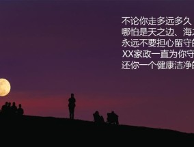 感动心灵的失落挽回文案收藏（用真情教会你成功挽回爱情）