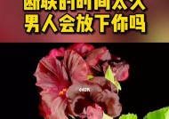 分手后如何挽回对方（重拾爱情）