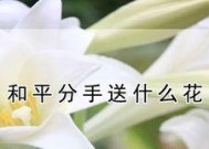 和平分手后如何复合（复合策略详解）