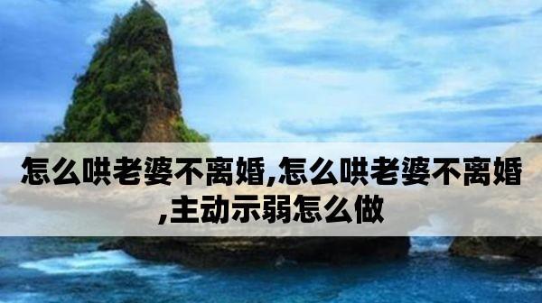 如何挽回老婆的心？——情感危机中的夫妻关系调适（探索情感沟通的艺术，重建美好的家庭关系）  第1张