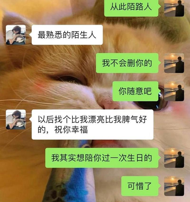 分手后的纠缠（分手后纠缠的心理分析与应对方法）  第3张