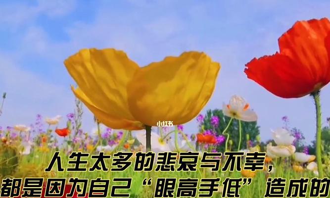 无法挽回的痛苦（生命中必然经历的无可避免之痛）  第3张