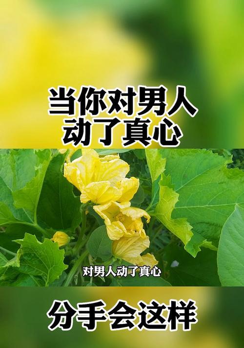 分手后多久就无法挽回（探究时间对感情的影响）  第1张