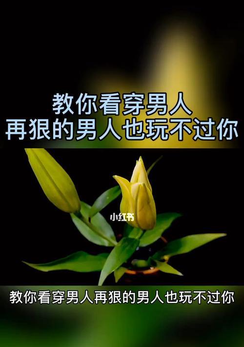 男人应该怎样挽回女友复合（从理性分析到情感把握）  第2张