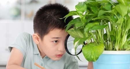 克服男人自卑心理的必备6招（教你成为自信的男人）  第2张