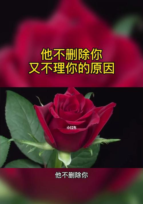 女友不理我，如何挽回爱情（失去女友后的正确处理方式）  第1张