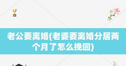 异地分居挽回老公，成功攻略大揭秘（15个步骤）  第1张