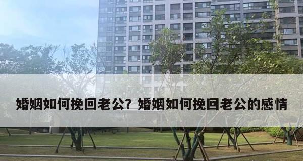 如何聪明地挽回老公（15个有效方法帮你重新拾回幸福生活）  第2张