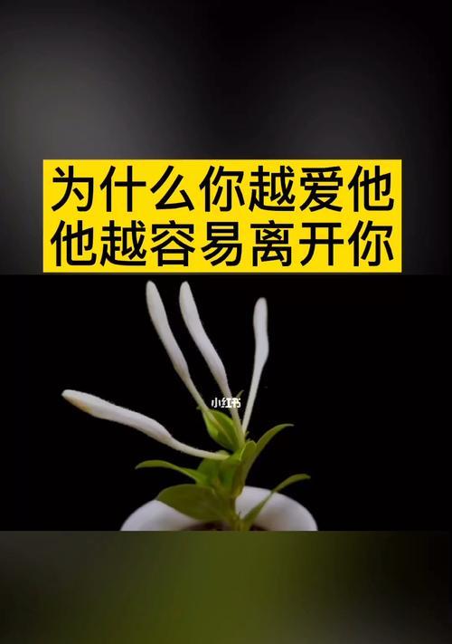 分手后挽回女友的10个实用方法（用语言和行动重新赢回她的心）  第2张