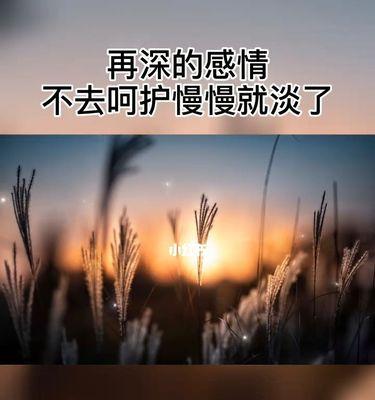 如何了解男人的内心世界，修复感情（男女恋爱中常见问题）  第2张