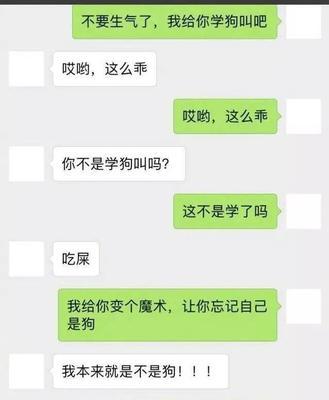 如何以和前任复合的聊天套路获得情人好感（掌握聊天技巧）  第1张