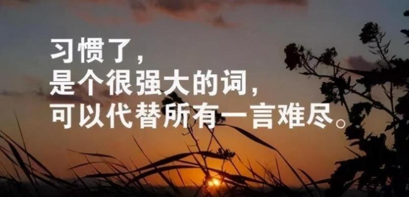 读心灵鸡汤时你在想什么（揭示你内心深处的感受与追求）  第1张