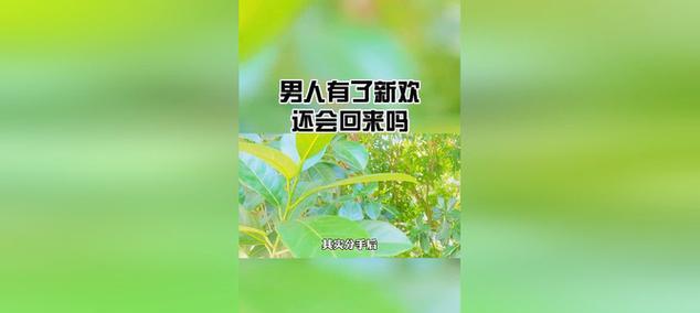 分手后男友有了新欢，如何挽回（5个实用方法帮你成功挽回前男友）  第1张