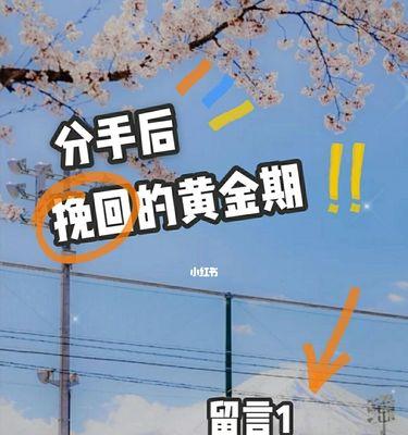 如何有效挽回女友（15个步骤助你成功挽回爱情）  第1张