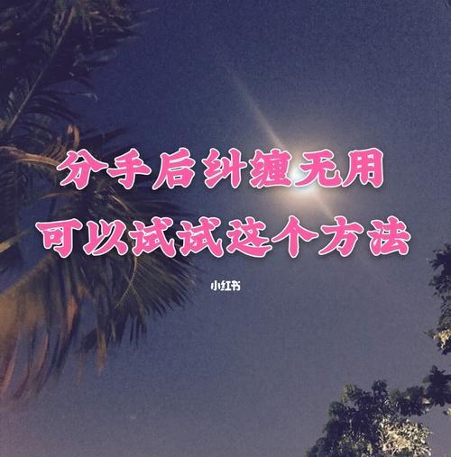 如何挽回前女友，解除纠缠（烦了但还爱她）  第1张