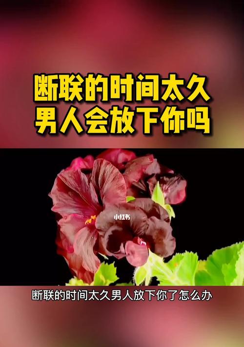 男友突然绝情分手，如何挽回（失恋后的心理阶段和应对策略）  第1张