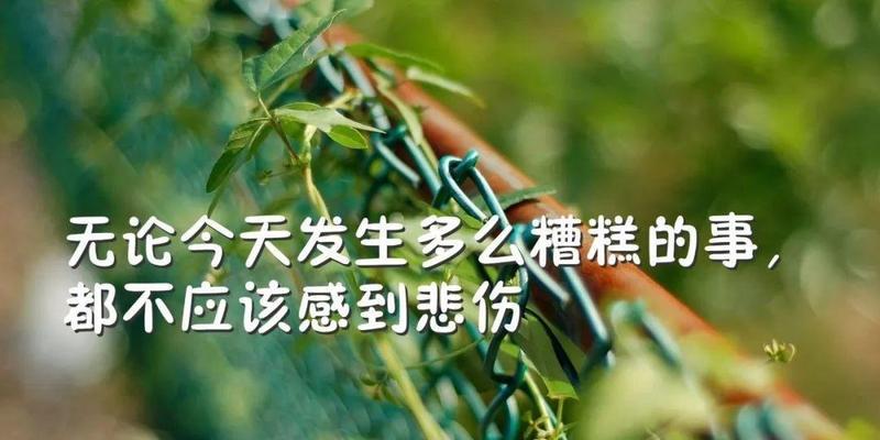 如何用最有效的话语挽回友谊？挽回友谊的黄金法则是什么？  第2张